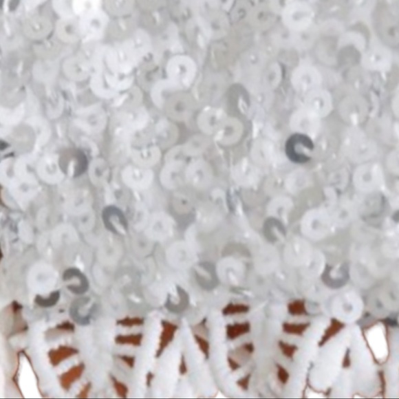 IXIAH x Free People Lacuna Sequin 4 | Sm Silver White Lace Overpiece Tie Top - Picture 6 of 11